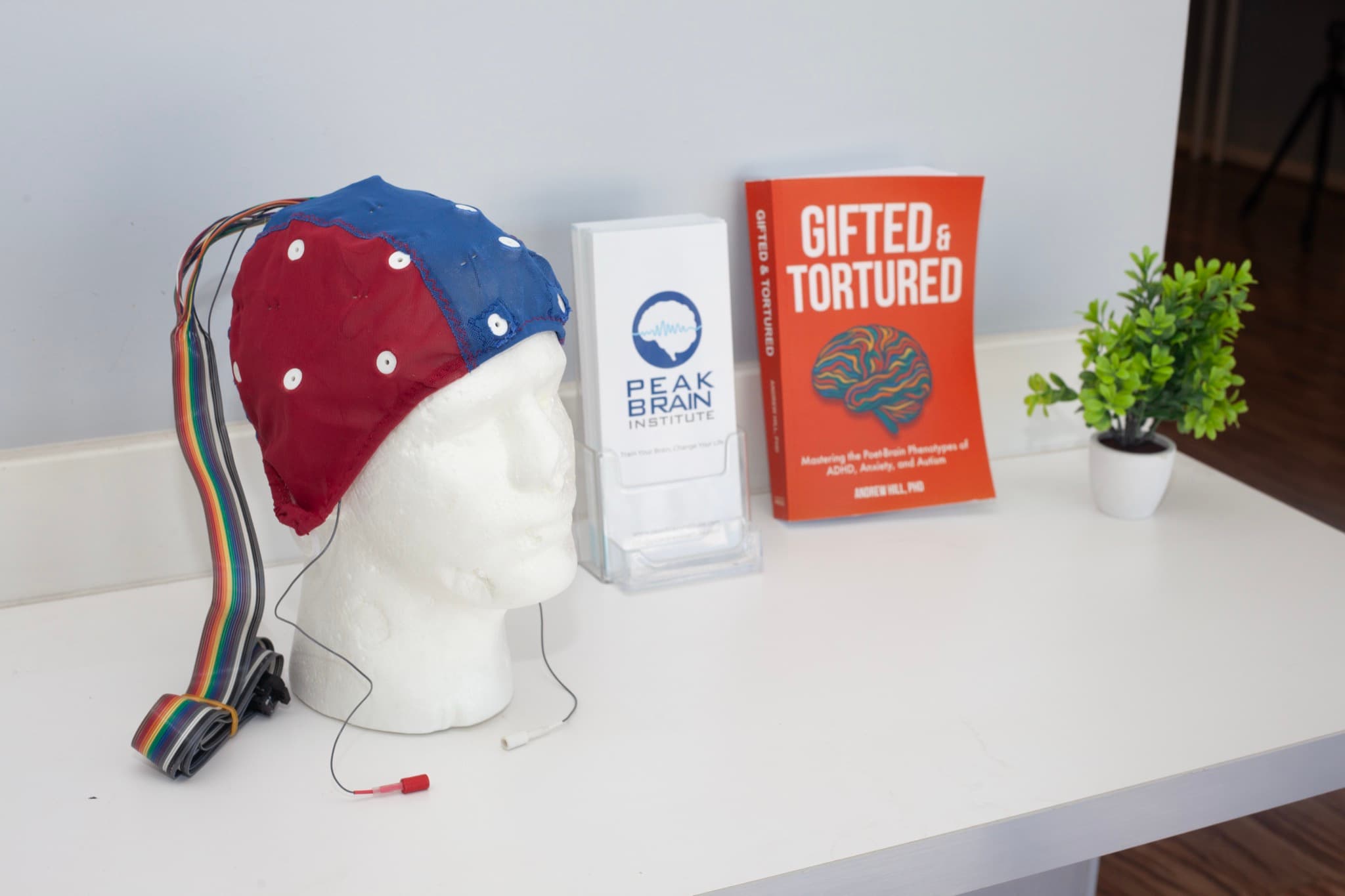 Peak Brain Institute full-head EEG cap